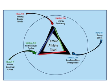 Is It Normal to Not Have a Menstrual Cycle if You are an Athlete? - Triangle  Nutrition Therapy