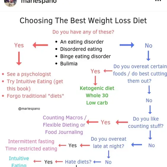Choosing The Best Weight Loss Diet flowchart