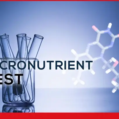 Micronutrient Test graphic
